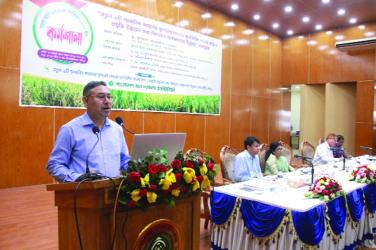 BRRI develops 3 paddy varieties thru LSTD project