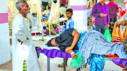 Dengue: 5 die, 124  hospitalized