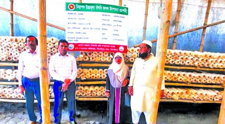 Mushroom farming transforms fortunes of Jhenaidah youth