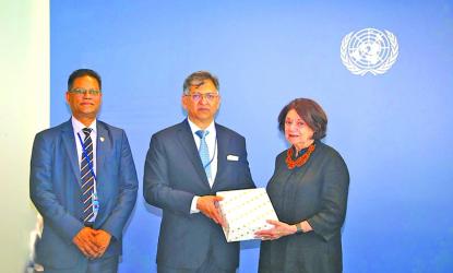 Home Minister calls for stronger global support for  Rohingya repatriation