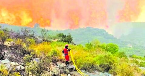 Wildfires in Spain leave at least 11 dead