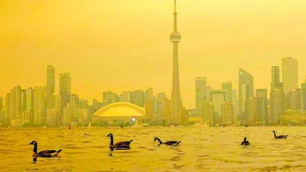 The serious  health risks posed  by wildfire smoke
