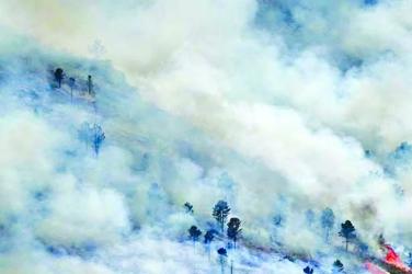 Spain declares emergency over wildfires