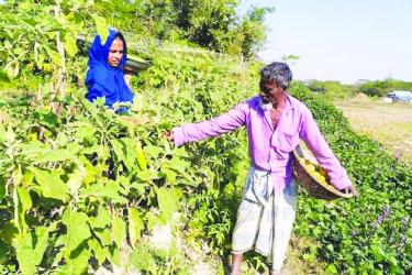 Rural Development in Bangladesh: Many More Miles to Proceed