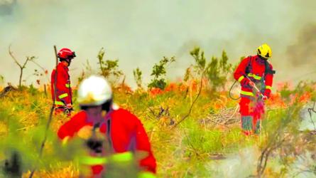 Wildfire in France: Tens of thousands evacuated near Bordeaux