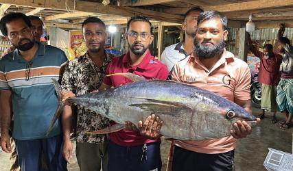 Rare 29 kg yellowfin tuna caught in fishing net in Bay of Bengal, sold for 40 thousand