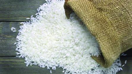 Govt moves to review aromatic rice export quotas amid rising prices