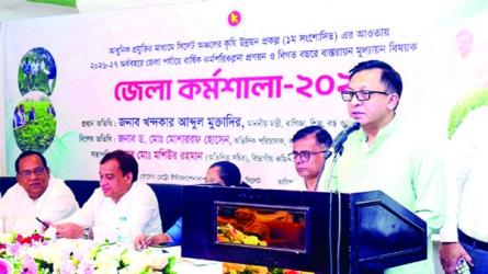 Gas-electricity crisis may take two years to resolve: Muktadir