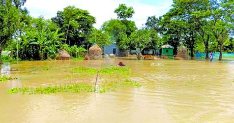 Upstream water floods homes, croplands in Brahmanbaria
