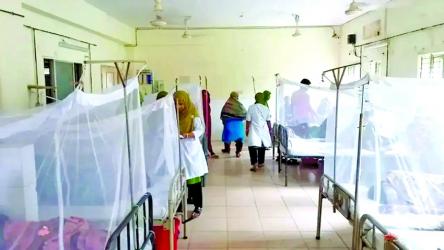 Dengue situation worsens in Khulna; 215 new patients hospitalised