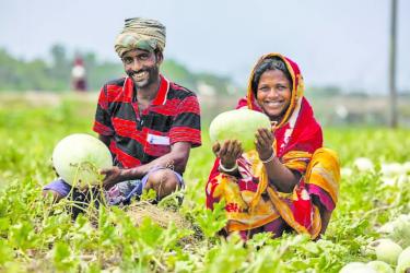 Middle Entities Take Away Farmers’ Profits Across Bangladesh