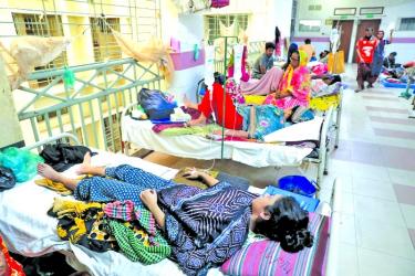 Dengue gets indomitable with 342 new admissions  in a day