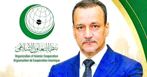 Ismail Ould elected OIC secretary general