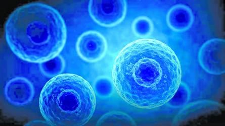Stem cell therapy could replace heart transplants
