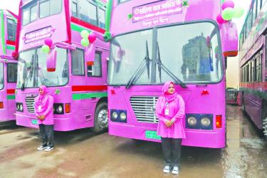 The Pink-Bus Paradox: Treating the  Symptom, Not the System