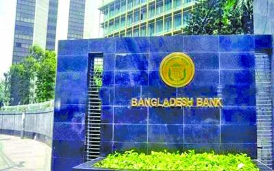 One third of  total bank loans is defaulted
