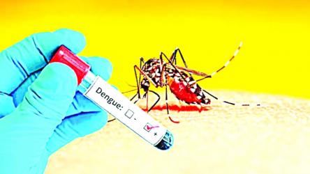 Dengue claims four more lives