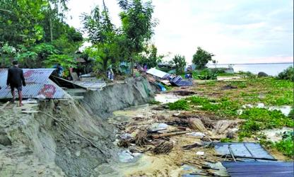 Teesta devours more than 100 houses in Gaibandha