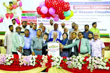 8th China Ambassador Cup Wushu begins