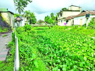 Shialjani Canal, a blessing, now turns into curse