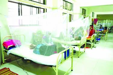 Dengue claims four more lives