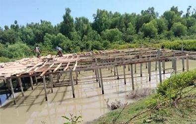 Construction work is underway Near Kuakata's Gangamati Mangrove forest ara