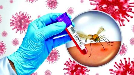 Dengue: 79 deaths in first 17 days  of September