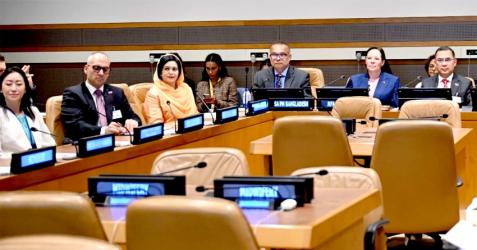 Zubaida stresses role of midwives in preventing maternal, newborn deaths