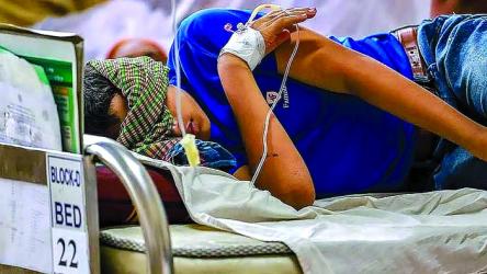 Dengue death toll hits 250