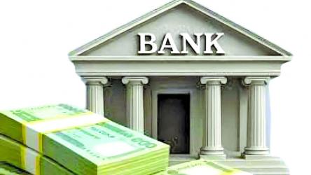 Govt bank borrowing slows as ADP crawls