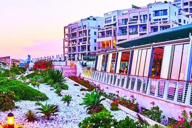 Let Accommodating Citizens Be a Human Right, Let Cities Be Part of Nature