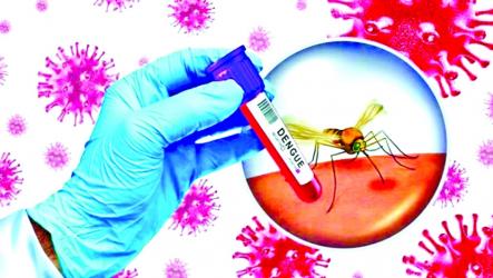 Health experts urge early testing, timely treatment to reduce dengue deaths