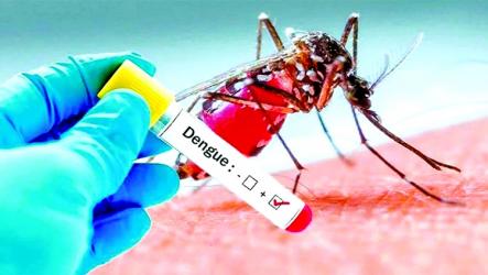 Dengue situation worrisome as  10 more deaths reported