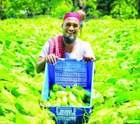 What Roles Can Agricultural Cooperatives Play in an Agrarian Economy?