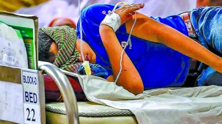 October dengue death toll crosses 100