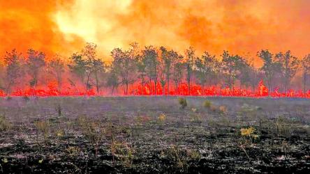 Global warming is accelerating: Reports