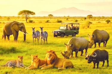 Mozambique Steps Up Border Control Measures to Save Wildlife