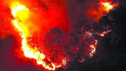 Wildfire smoke  during pregnancy linked  to higher autism risk 