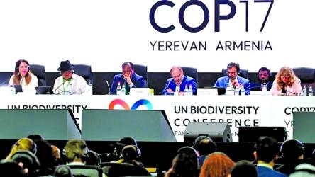Nations commit to get nature goals back on track