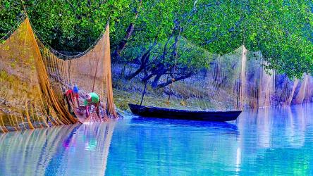 The changing fortunes  of Sundarbans fish