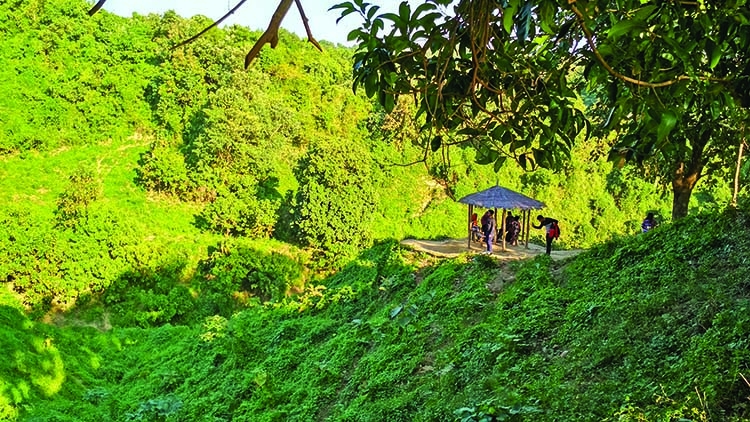 Himchari National Park