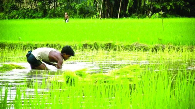 GED’s Bangladesh Economic Outlook shows cautious optimism