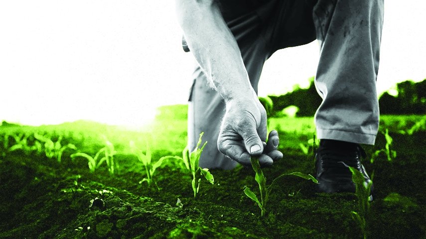 Bangladesh Academy of Agriculture (BAAG): A Quiet Force Shaping the Future of Agriculture