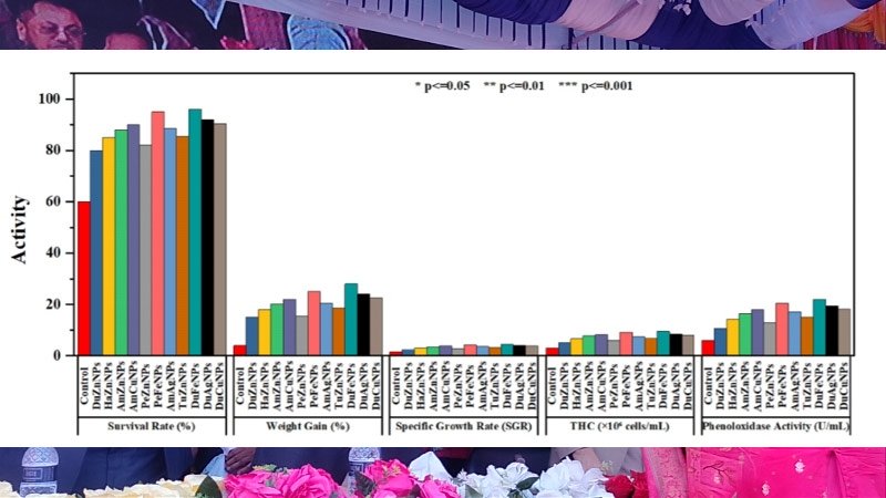 Bangladesh's indigenous nanoparticle revolution: Medicinal plants power a shrimp farming breakthrough