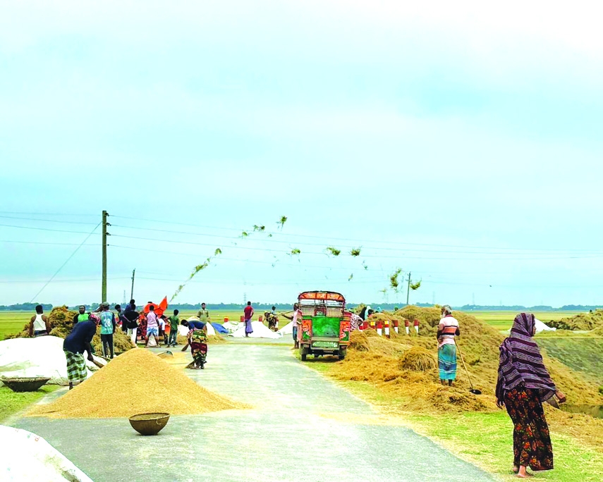 Rice Fields Water and the Future of the Haor Delta