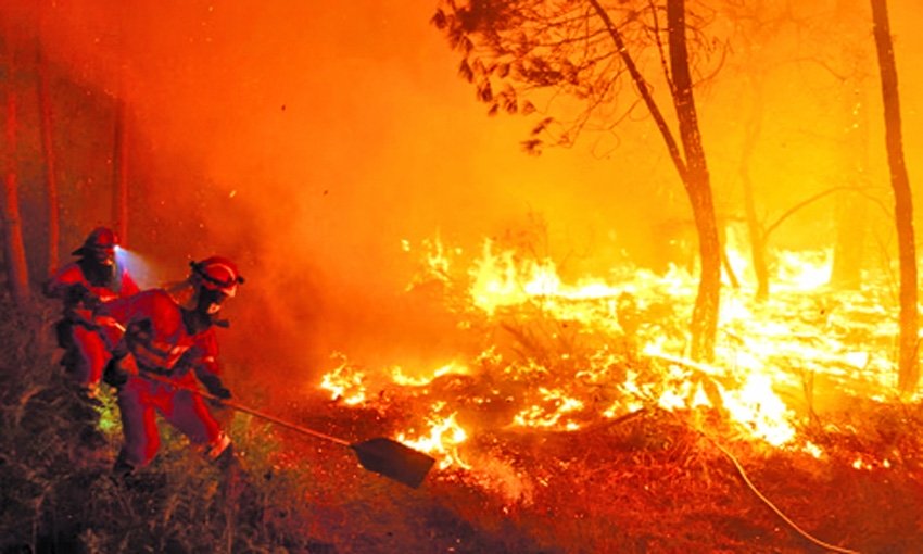Declare climate crisis  a global public health emergency, experts tell WHO