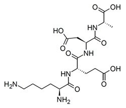 Livagen Peptide: Epigenetic Microregulation and Theoretical Horizons in Thymic Signaling Research