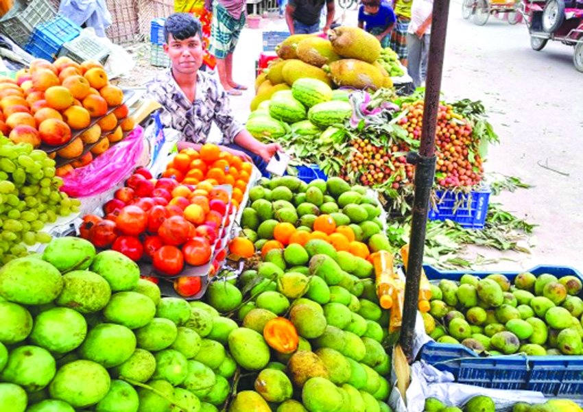 Lalmonirhat fruit market buzzes as seasonal fruits arrive
