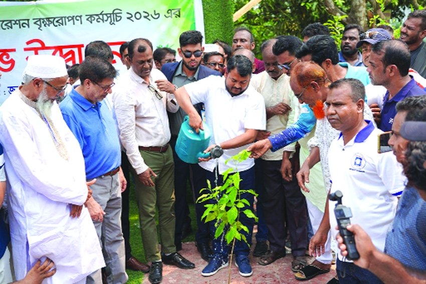 RCC administrator launches tree  plantation project 