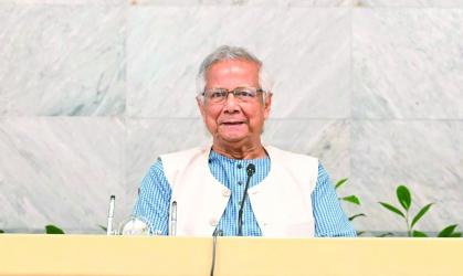 CA for resolving visa complexities